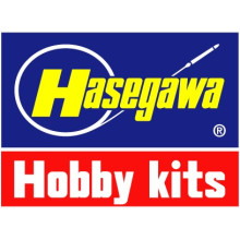 Hasegawa (100)