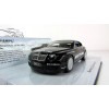 1:43 Масштабная модель BENTLEY CONTINENTAL GT - WORLD RECORD CAR ON ICE 321 km/h 2007